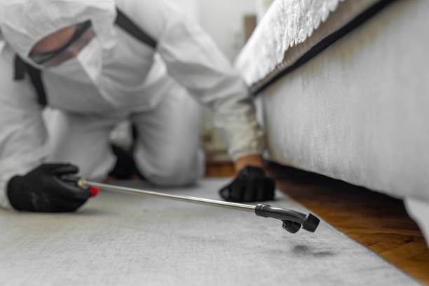 Professional Termite Control technician working in Wolf Creek, UT