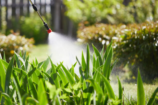 24/7 Emergency Termite Control experts in Wolf Creek, UT