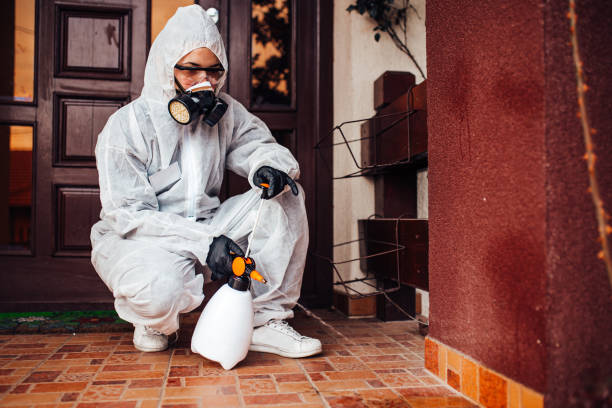 Reliable Termite Control contractor in Wolf Creek, UT by Nex Pest Control