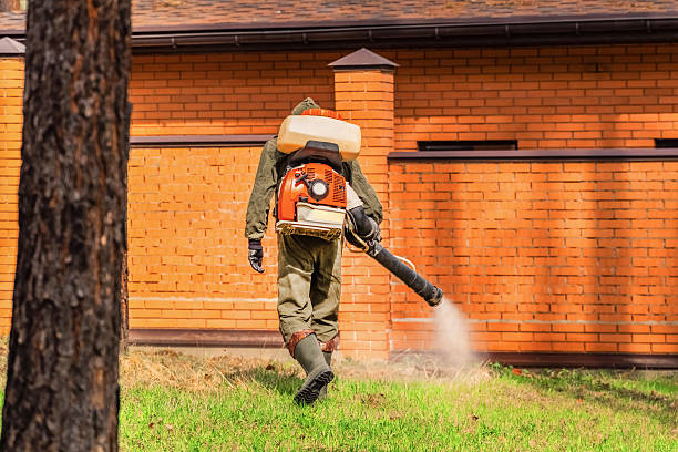 Trusted Ant Control service in Wolf Creek, UT - Nex Pest Control